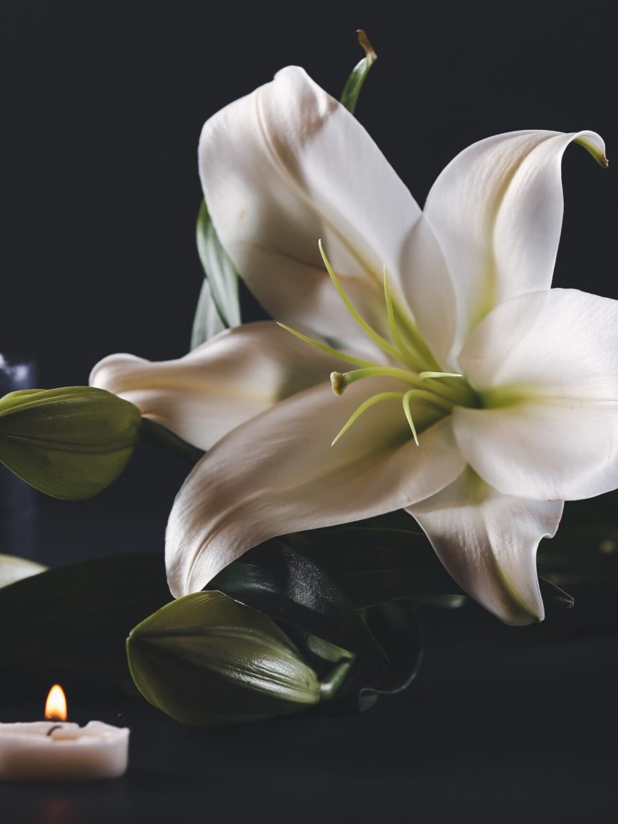 Beautiful lily flowers and burning candles on black background
